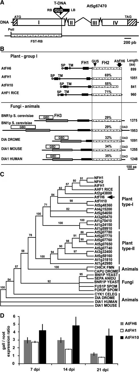 Figure 2.