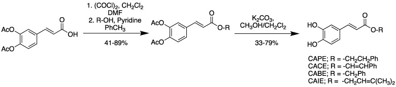 Scheme 1