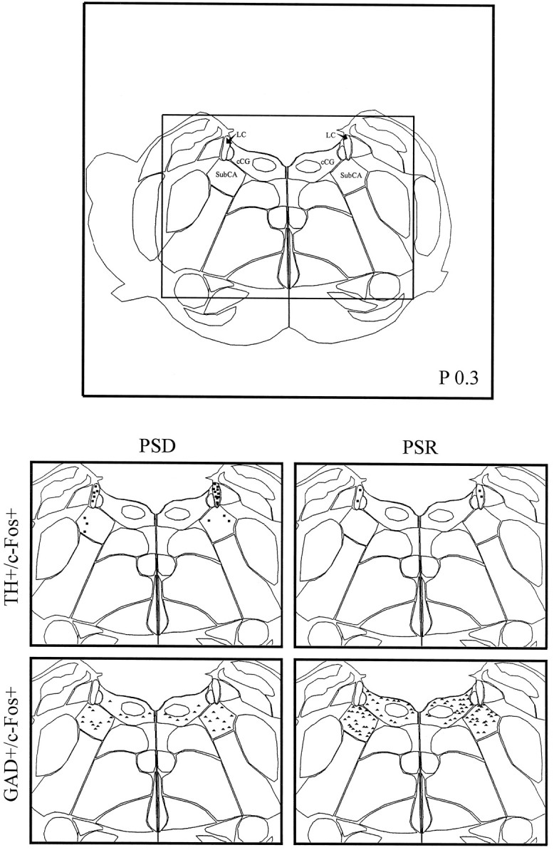 Fig. 8.