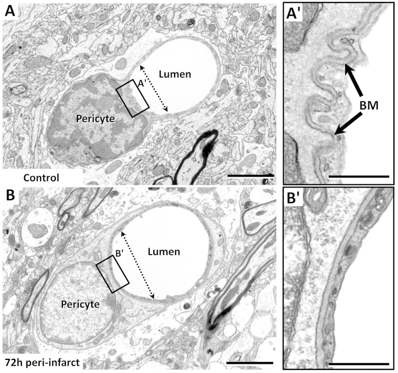 Figure 6.