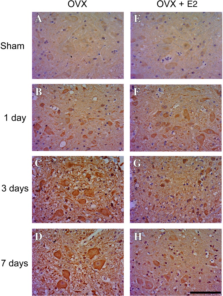 Fig. 4