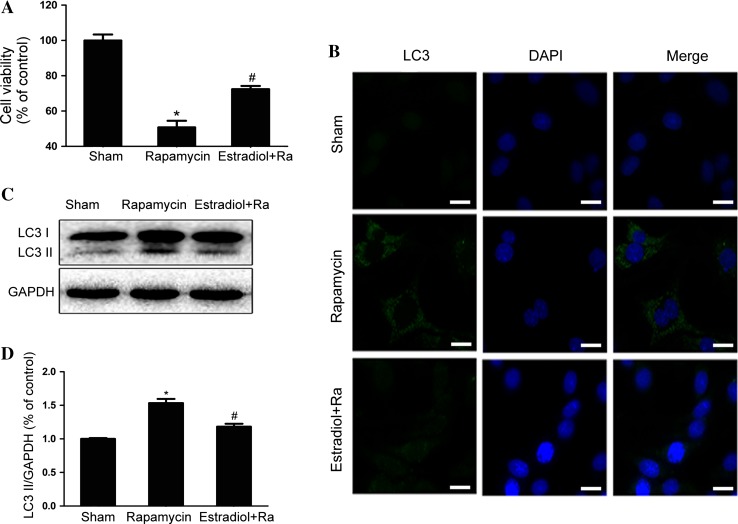 Fig. 6