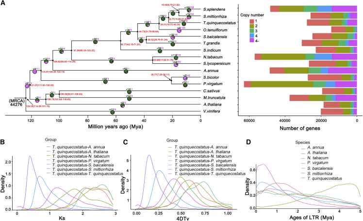 Figure 3