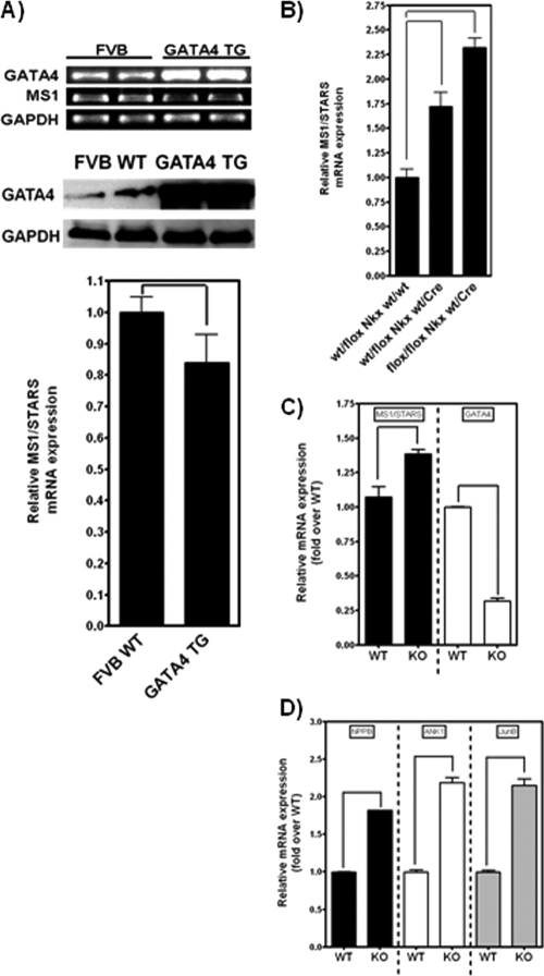 Fig 6