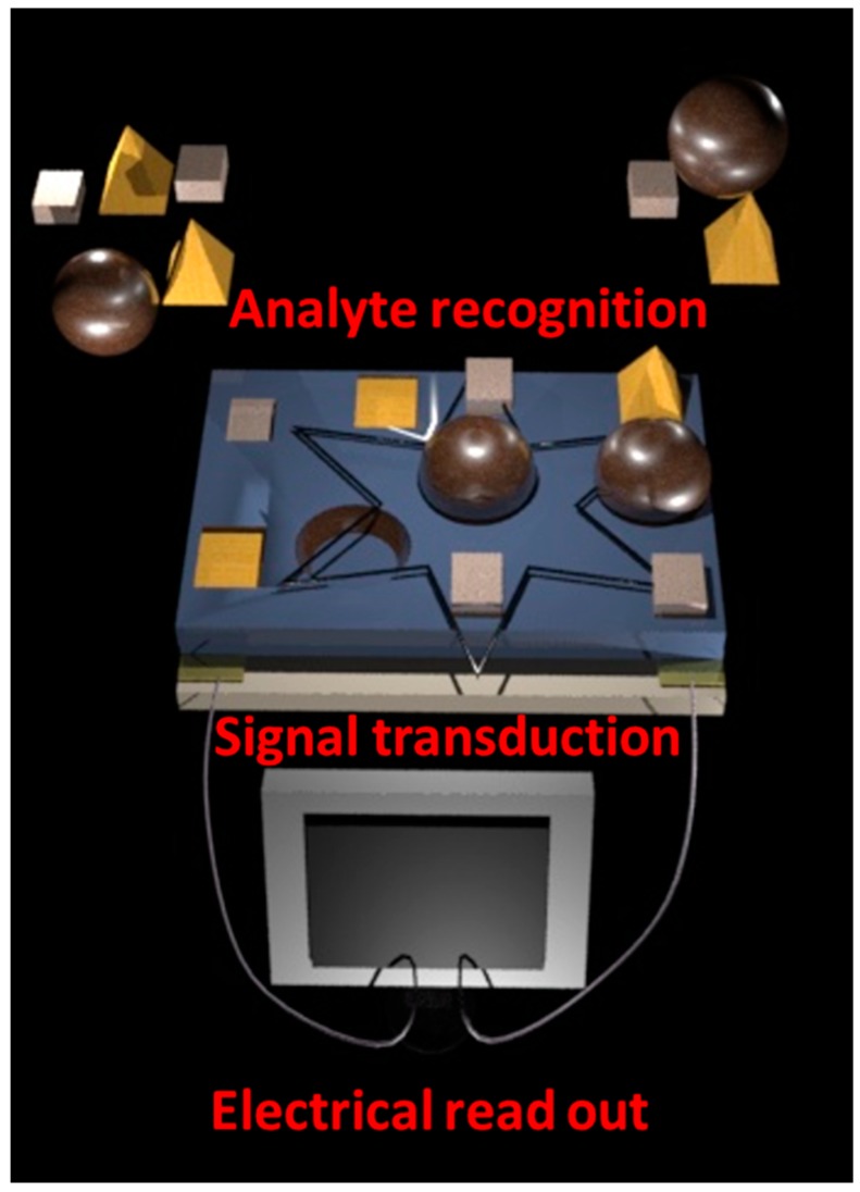 Figure 12