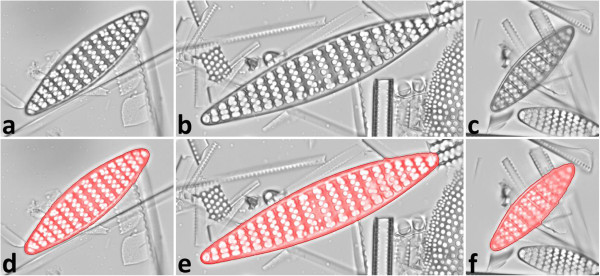 Figure 12