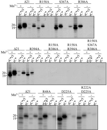 FIG. 4.