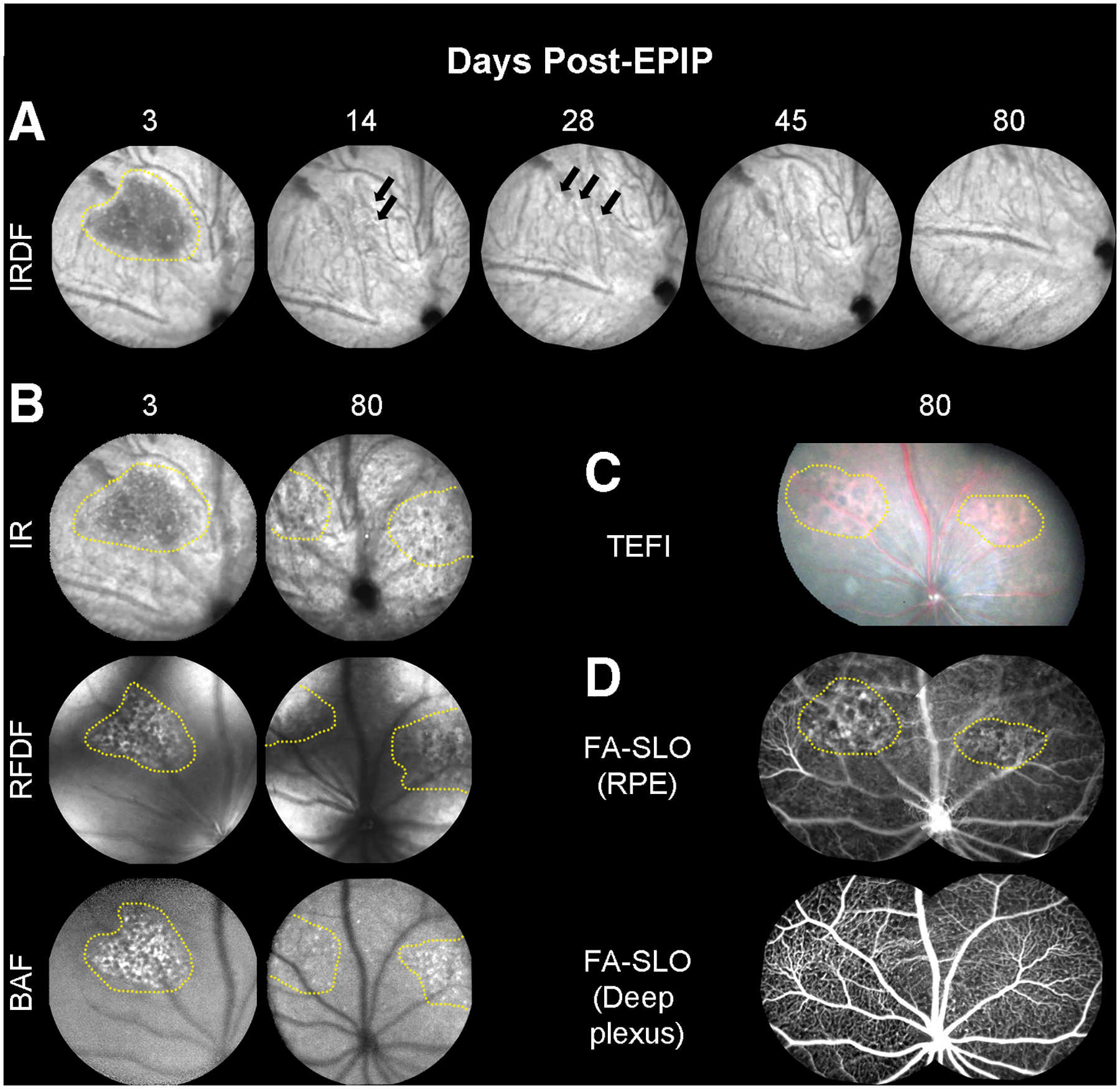 Fig. 4.