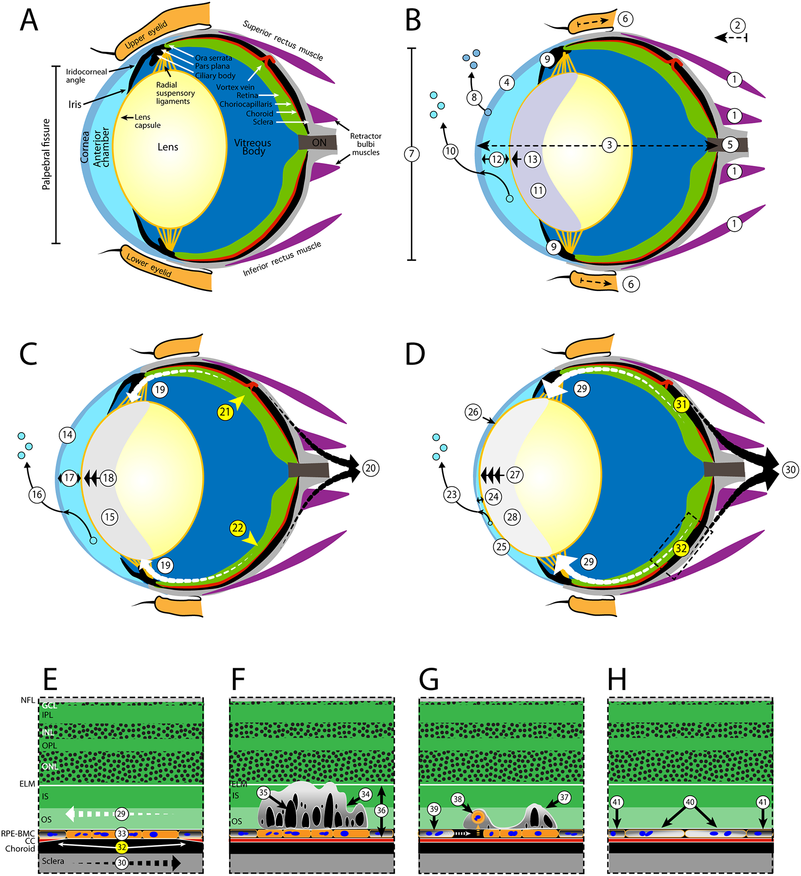 Fig. 8.