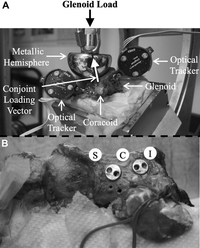 Figure 3