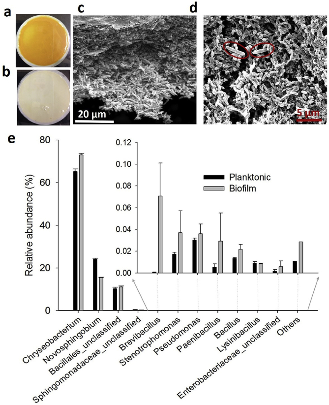 Fig. 4