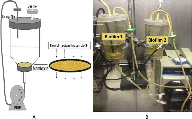 Fig. 1