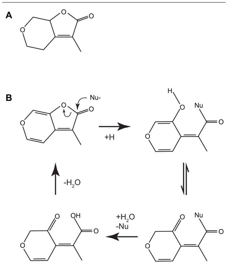 FIGURE 3