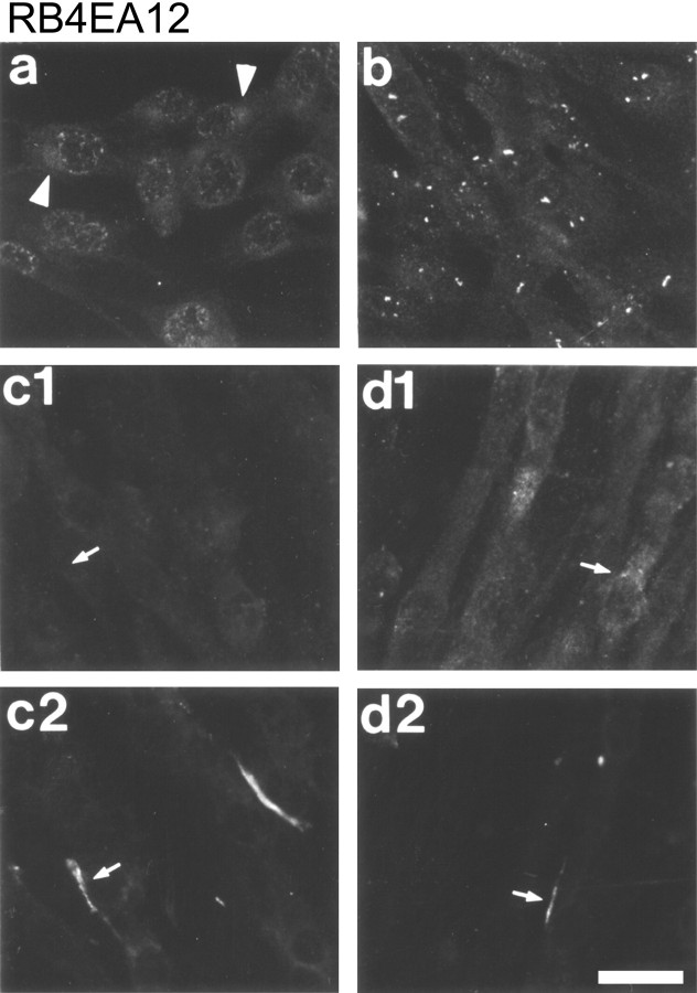 Fig. 10.