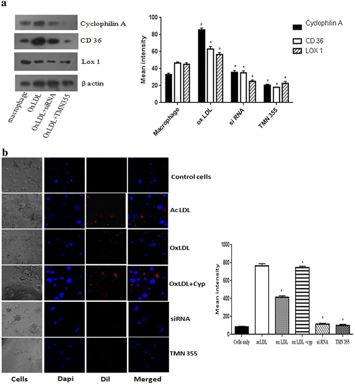 Fig. 6