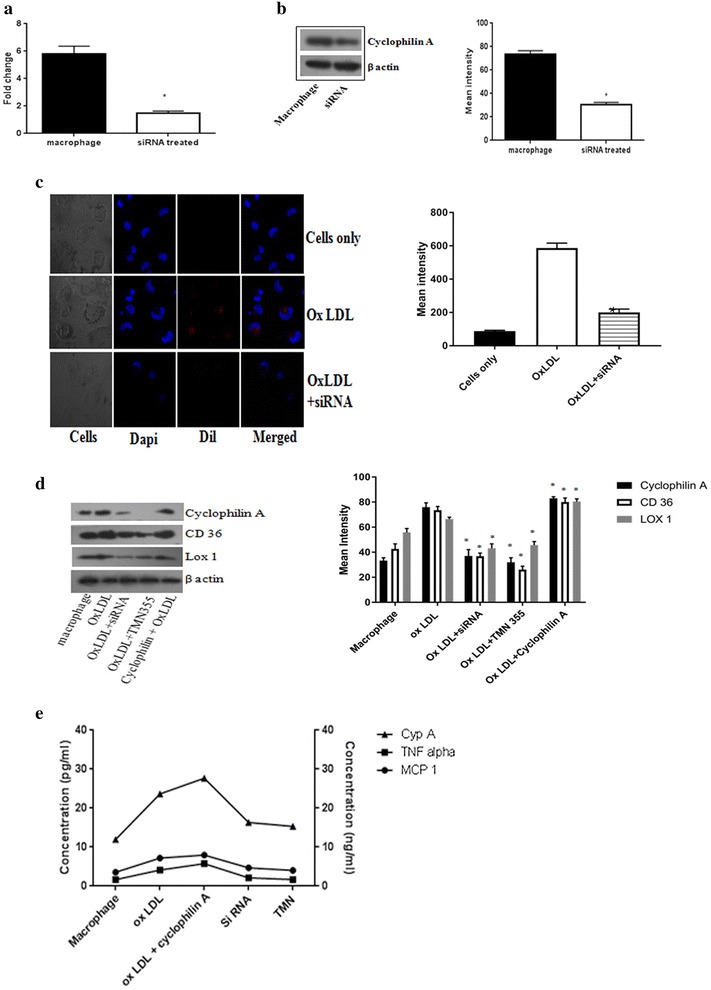 Fig. 4