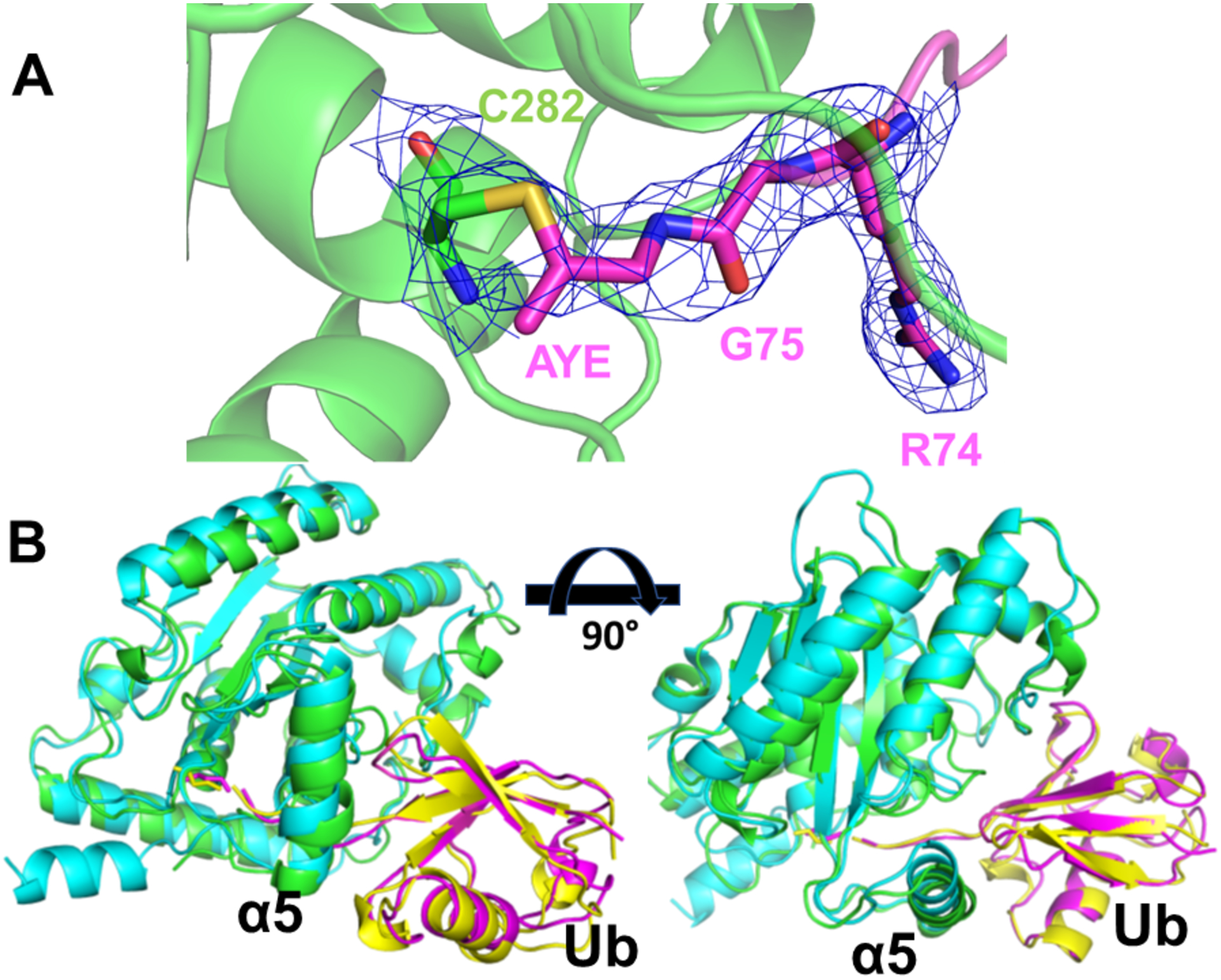 Figure 4.