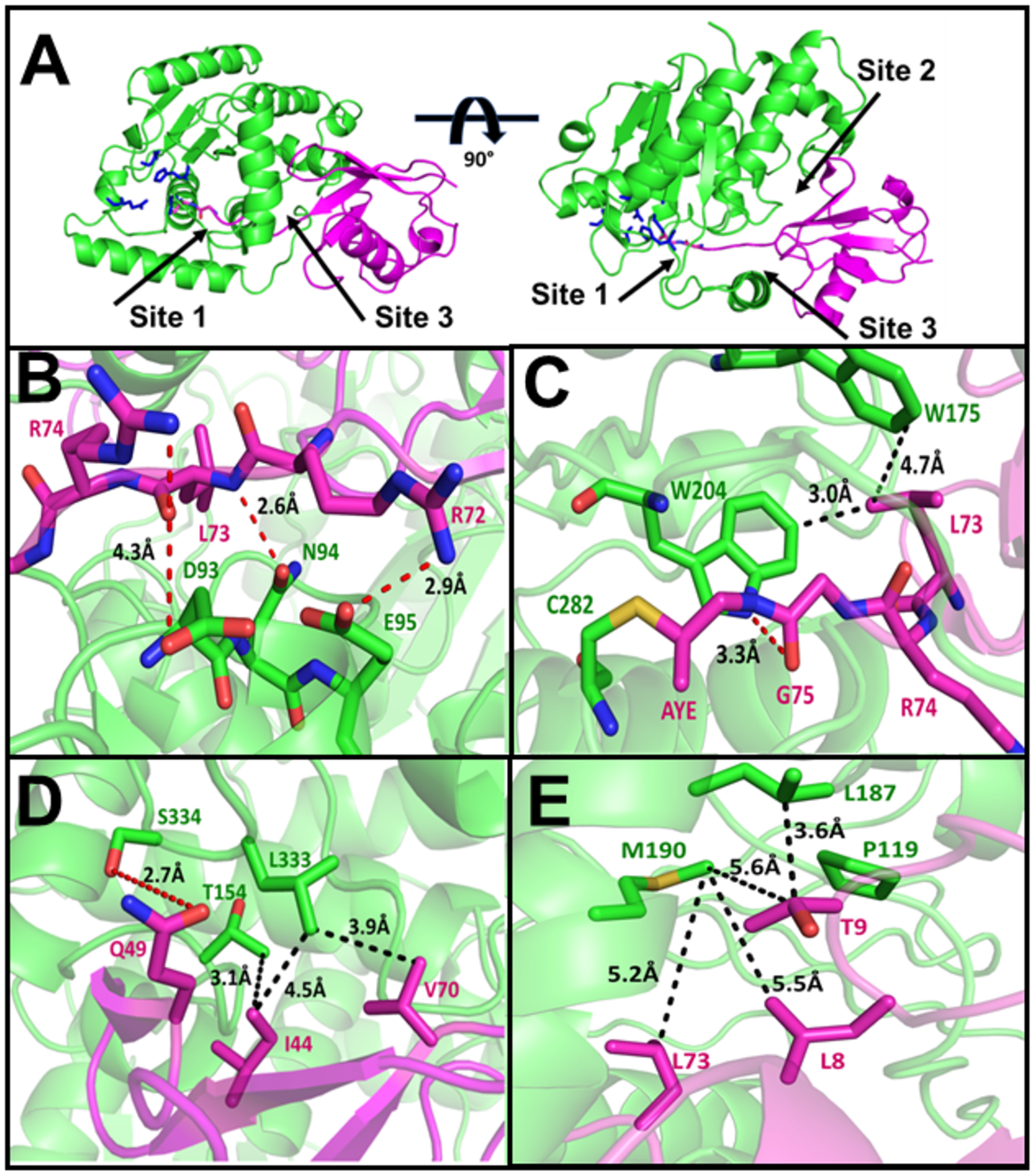 Figure 5.