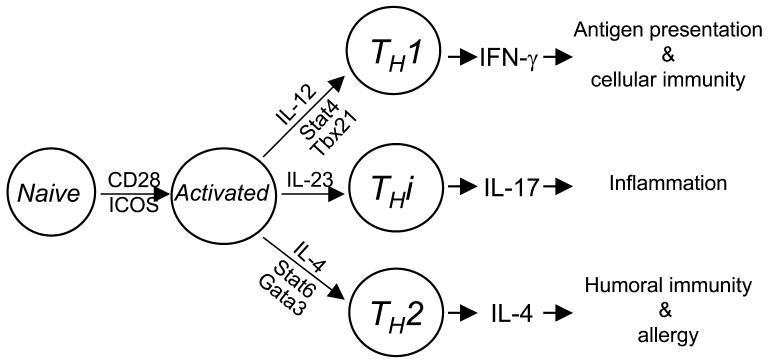 Supplementary Figure 3