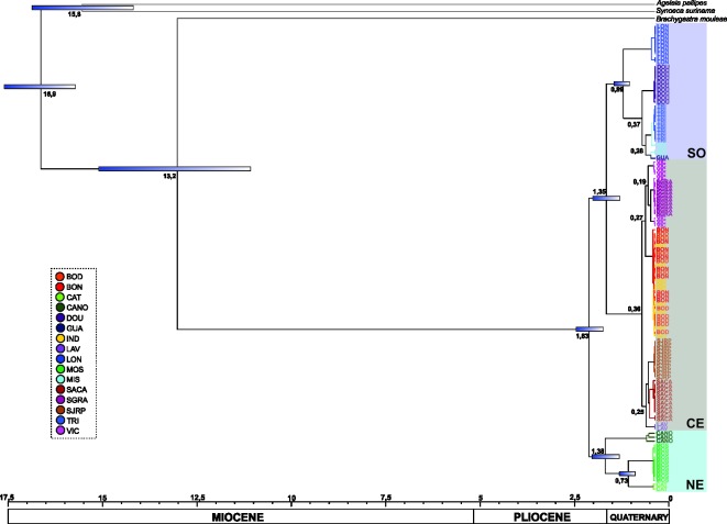 Fig 6