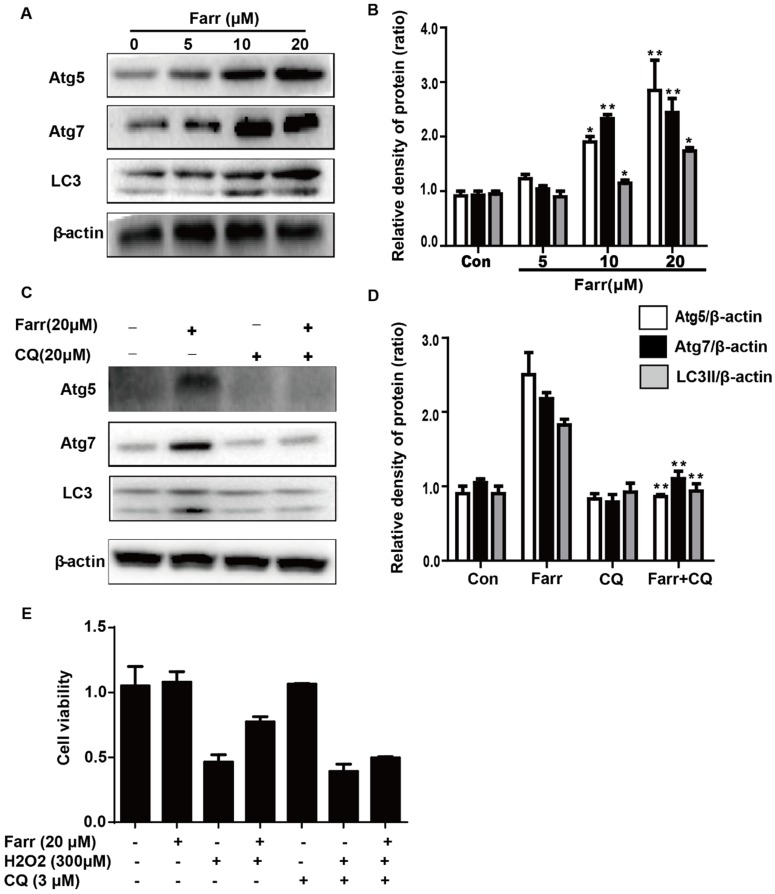 Fig 7