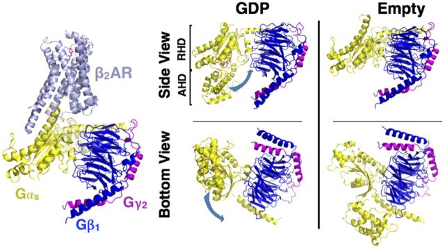 Fig. 8.