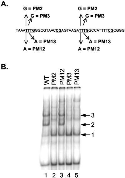 FIG. 5.