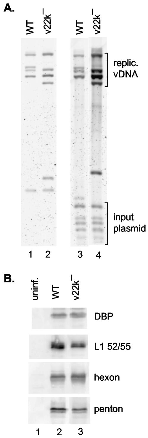 FIG. 4.