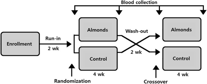 Fig. 2