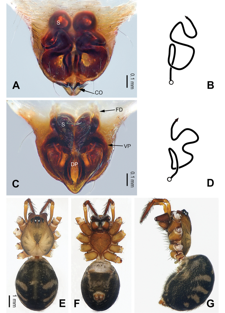 Figure 5.