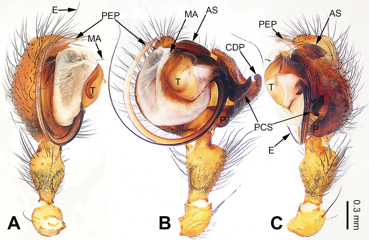 Figure 1.