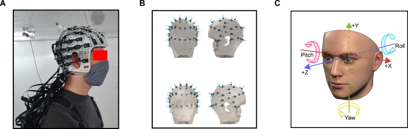 Fig 1