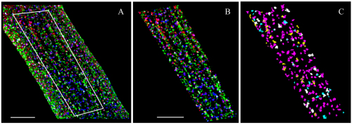 Fig. 3.