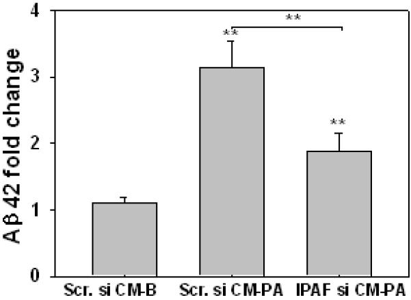 Fig. 5