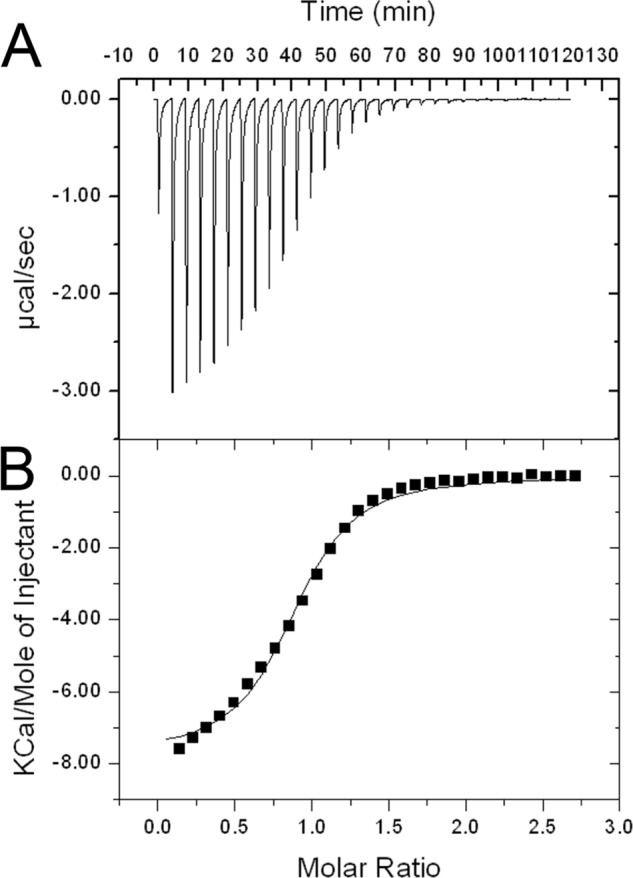 FIGURE 5.