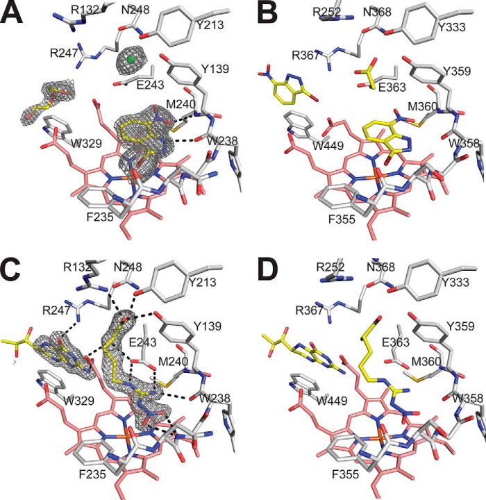 FIGURE 4.