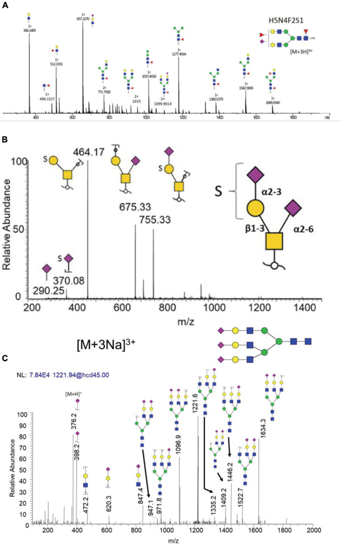 FIGURE 6