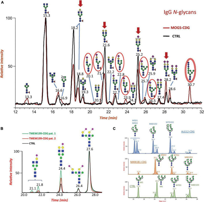 FIGURE 2