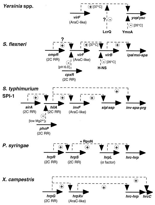 FIG. 12