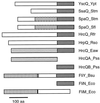 FIG. 11