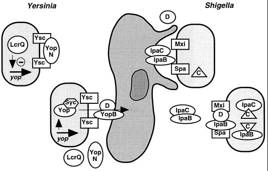 FIG. 8