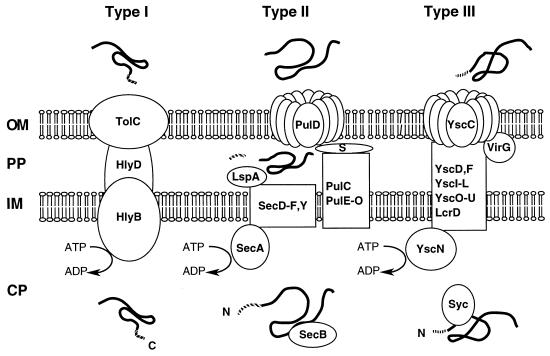 FIG. 1