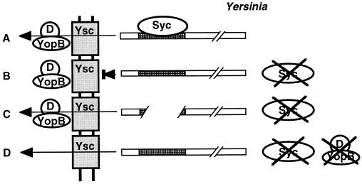 FIG. 7