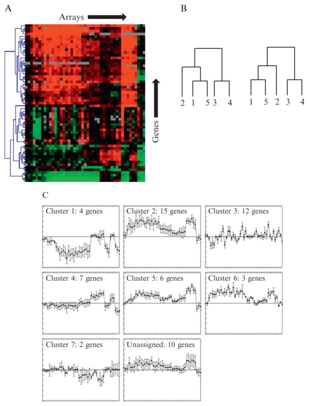 Figure 4.5