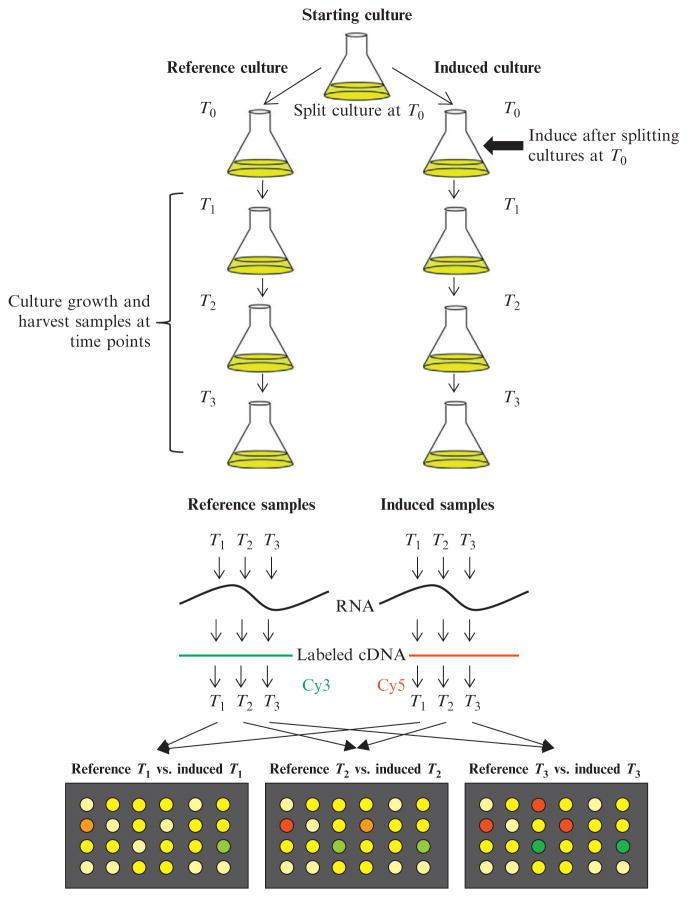 Figure 4.2