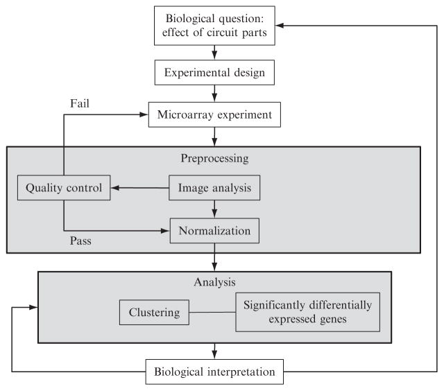 Figure 4.1