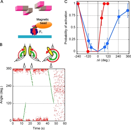 FIGURE 2.