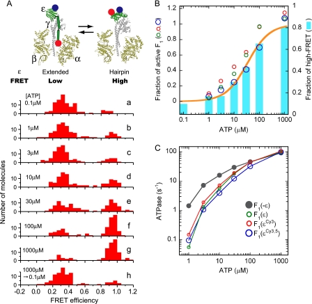 FIGURE 1.