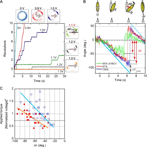 FIGURE 3.