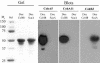 FIG. 7.